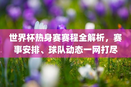 世界杯热身赛赛程全解析，赛事安排、球队动态眉山市正发家政服务有限公司一网打尽