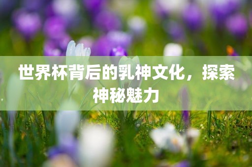 世界杯背后的乳神文化，探索神秘魅力眉山市正发家政服务有限公司