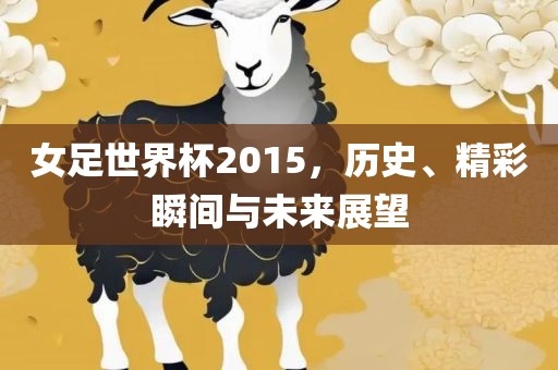 女足世界杯2015，历史、精彩瞬间与未来展望