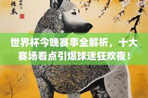 世界杯今晚赛事全解析，十大赛场看点引爆球迷狂欢夜！