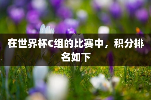 在世界杯C组的比赛中，积分排名如下眉山市正发家政服务有限公司
