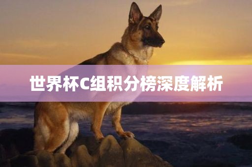 世界杯C组积分榜深度解析眉山市正发家政服务有限公司