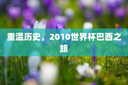 重温历史，2眉山市正发家政服务有限公司010世界杯巴西之旅