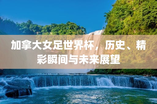 历史与未来展望 第5页