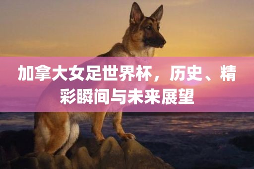 加拿大女足世界杯，历史、精彩瞬间与未来展望眉山市正发家政服务有限公司