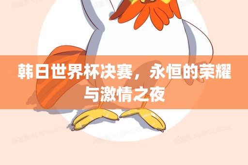 韩日世界杯决赛，永恒的荣耀与激情之夜