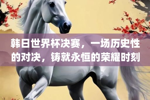 韩日世界杯决赛，一场历史性的对决，铸就永恒的荣耀时刻