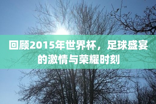 回顾2015年世界杯，足球盛宴的激情与眉山市正发家政服务有限公司荣耀时刻