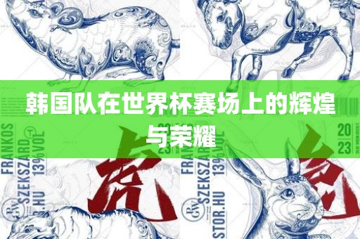 韩国队在世界杯赛场上的辉煌与荣耀