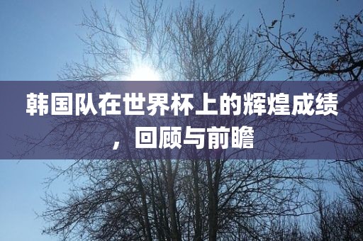 韩国队在世界杯上的辉煌成绩，回顾与前瞻眉山市正发家政服务有限公司