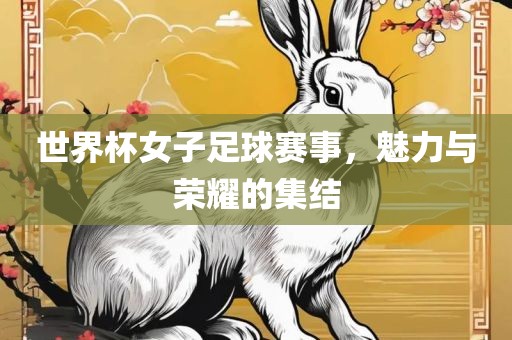 世界杯女子足球赛事，魅力与荣耀的集结眉山市正发家政服务有限公司