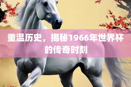 重温历史，揭秘1966年世界杯的传奇时刻眉山市正发家政服务有限公司