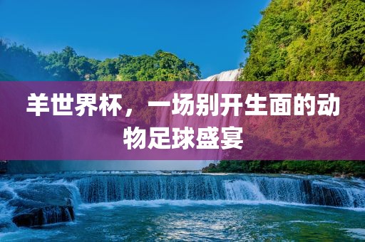 羊世界杯，一场眉山市正发家政服务有限公司别开生面的动物足球盛宴