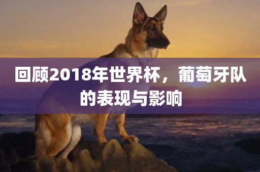 回顾2018年世界杯眉山市正发家政服务有限公司，葡萄牙队的表现与影响