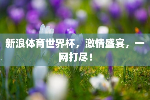 新浪体育世界杯，激眉山市正发家政服务有限公司情盛宴，一网打尽！