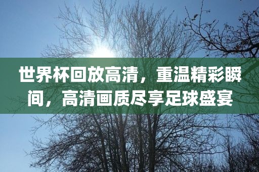 世界杯回放高清，重温精彩瞬间，高清画质尽享足球盛宴眉山市正发家政服务有限公司