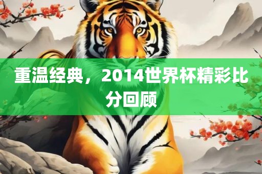 重温经典，2014世界杯精彩比分回顾眉山市正发家政服务有限公司
