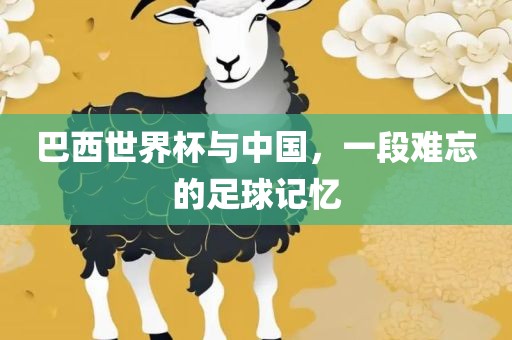 巴西世界杯与中国，一段难忘的足球记忆眉山市正发家政服务有限公司