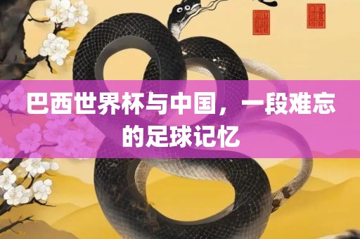 巴西世眉山市正发家政服务有限公司界杯与中国，一段难忘的足球记忆