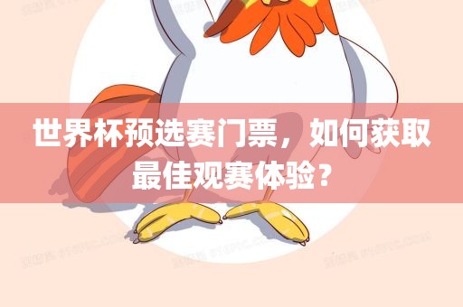 世界杯预选赛门票，如何获取最佳观赛体验？