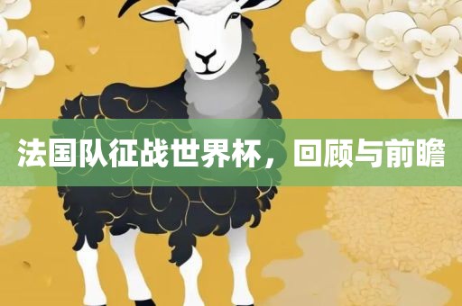 法国队征战世眉山市正发家政服务有限公司界杯，回顾与前瞻
