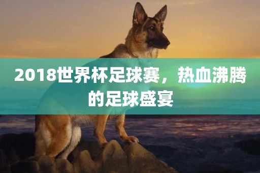 2018世界杯足球赛眉山市正发家政服务有限公司，热血沸腾的足球盛宴