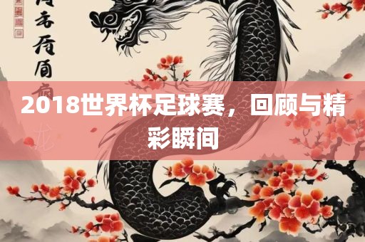 2018世界杯足球赛，回顾与精彩瞬间眉山市正发家政服务有限公司