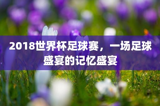 2018世界杯足球赛，一场足球盛宴的记忆盛宴眉山市正发家政服务有限公司
