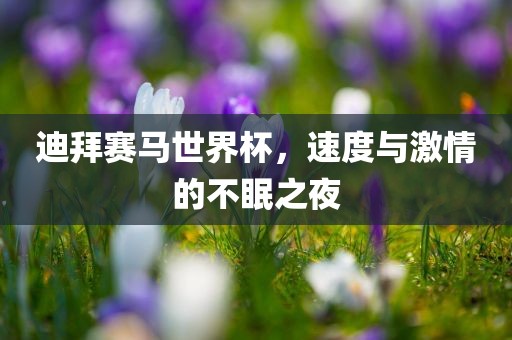 迪拜赛马世界杯，速度与激情的不眠之夜眉山市正发家政服务有限公司