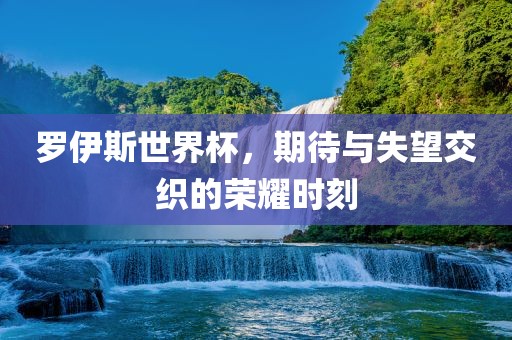 罗伊斯世界杯，期待与失望交织的荣耀时刻
