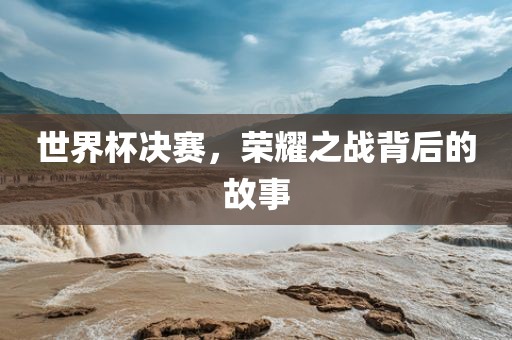 世界杯决赛，眉山市正发家政服务有限公司荣耀之战背后的故事