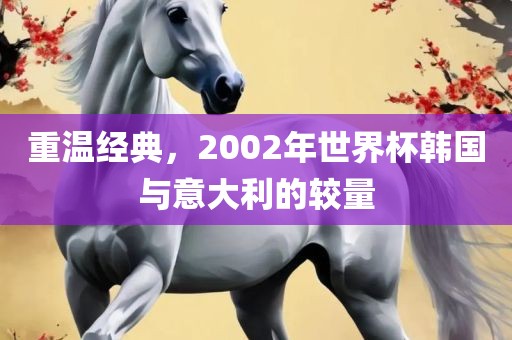 重温经典，2002年世界眉山市正发家政服务有限公司杯韩国与意大利的较量