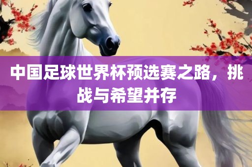 中国足球世界杯预选赛之路，挑战与希望并存