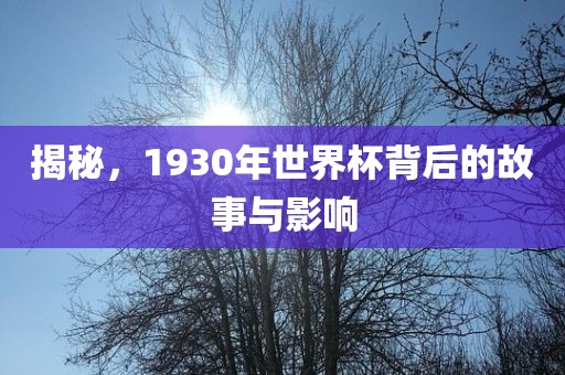 世界杯历史 第6页