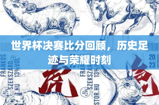 世界杯决赛比分回顾，历史足迹与荣耀时刻眉山市正发家政服务有限公司