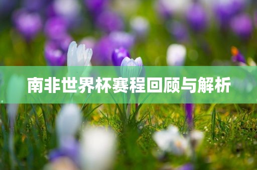 南非世界杯赛程回顾眉山市正发家政服务有限公司与解析