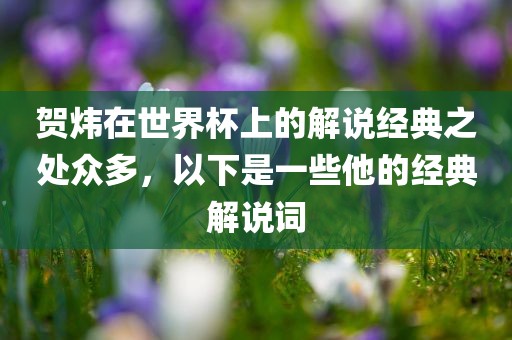 贺炜在世界杯上的解说经典之处众多，以下是一些他的经典解说词眉山市正发家政服务有限公司