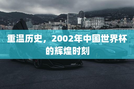重温历史，2002年中国世眉山市正发家政服务有限公司界杯的辉煌时刻