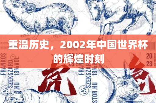 重温历史，2002年中国世界杯的辉煌时刻