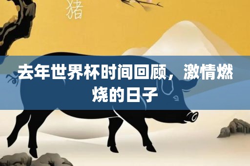 去年世界杯时间眉山市正发家政服务有限公司回顾，激情燃烧的日子