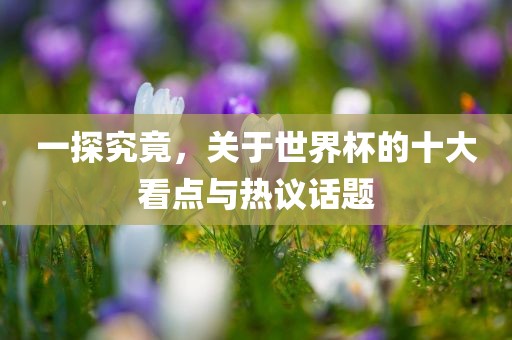 一探究竟，关于世界杯的十大眉山市正发家政服务有限公司看点与热议话题