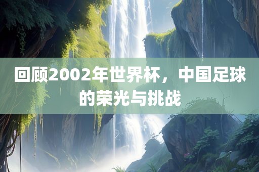回顾2002年世界杯，中国足球的荣光与挑战