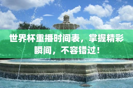 世界杯眉山市正发家政服务有限公司重播时间表，掌握精彩瞬间，不容错过！