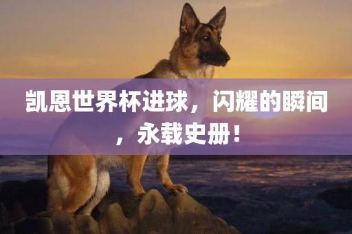 凯恩世界杯进球，闪耀的瞬间，永载史册！眉山市正发家政服务有限公司