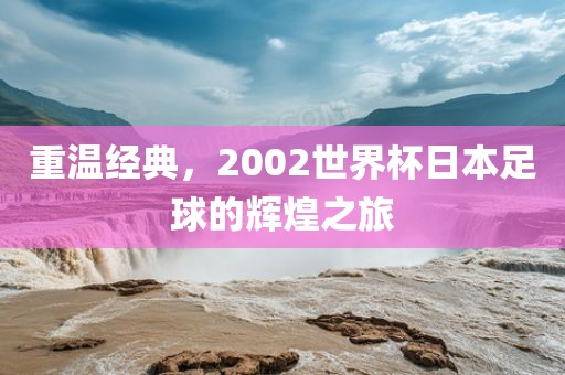 重温经典，2002世界杯日本足球的辉煌之旅眉山市正发家政服务有限公司