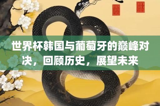 世界杯韩国与葡萄牙的巅峰对决，回顾历史，展望未来眉山市正发家政服务有限公司
