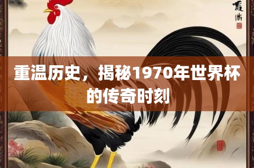 重温历史，揭秘1970年世界杯的传奇时刻眉山市正发家政服务有限公司