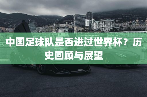中国足球队是否进过世界杯？历史回顾与展望眉山市正发家政服务有限公司