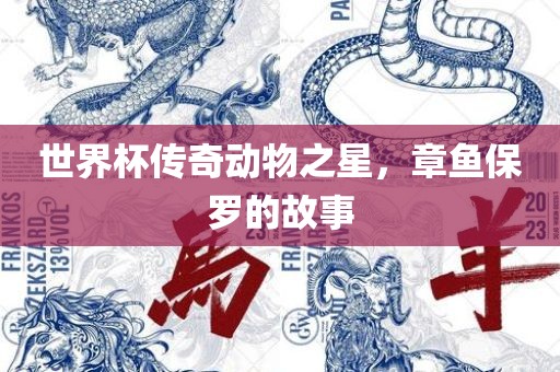 世界杯传奇动物之星，章鱼保罗的故事眉山市正发家政服务有限公司