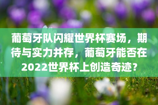 葡萄牙队闪耀世界杯赛场，期待与实力并存，葡萄牙能否在2022世界杯上创造奇迹？